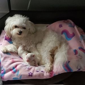 TRADE DEHAVENARTS 14K Yellow Gold Green Tourmaline ring